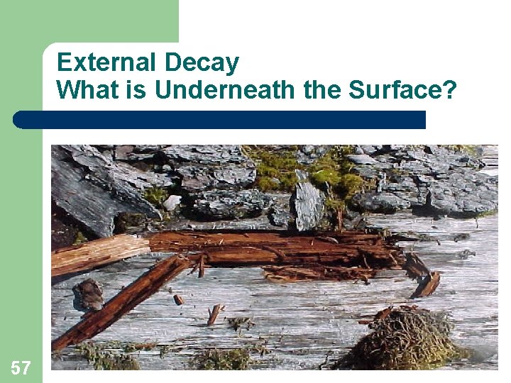 External Decay What is Underneath the Surface? 57 