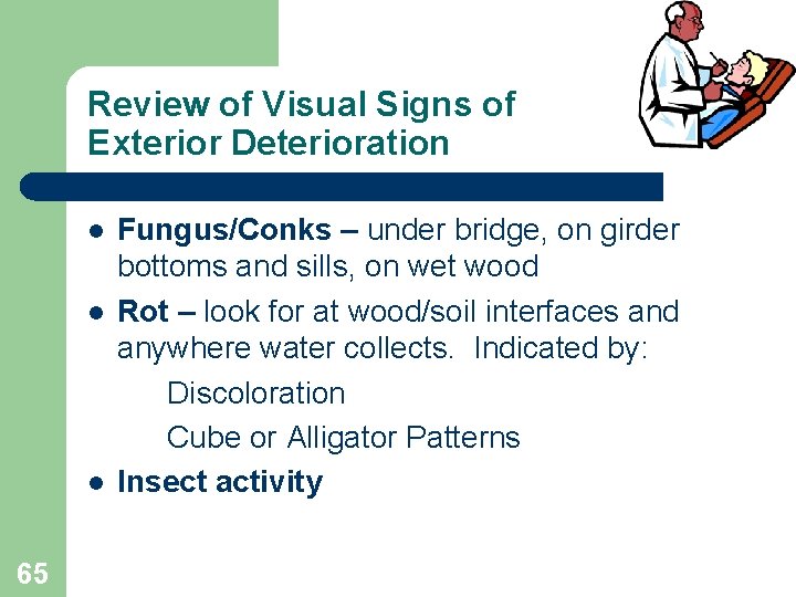Review of Visual Signs of Exterior Deterioration l l l 65 Fungus/Conks – under