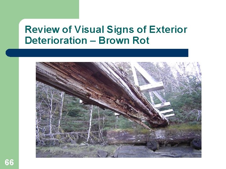 Review of Visual Signs of Exterior Deterioration – Brown Rot 66 