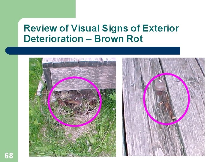 Review of Visual Signs of Exterior Deterioration – Brown Rot 68 