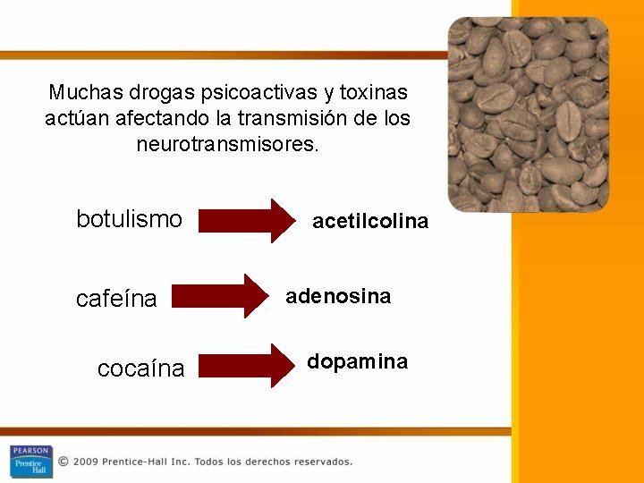 Muchas drogas psicoactivas y toxinas actúan afectando la transmisión de los neurotransmisores. botulismo cafeína