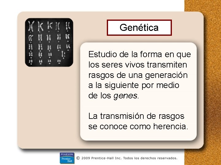 Genética Estudio de la forma en que los seres vivos transmiten rasgos de una