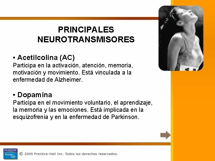 PRINCIPALES NEUROTRANSMISORES • Acetilcolina (AC) Participa en la activación, atención, memoria, motivación y movimiento.