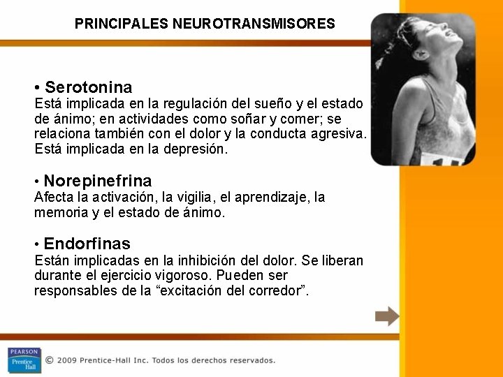 PRINCIPALES NEUROTRANSMISORES • Serotonina Está implicada en la regulación del sueño y el estado