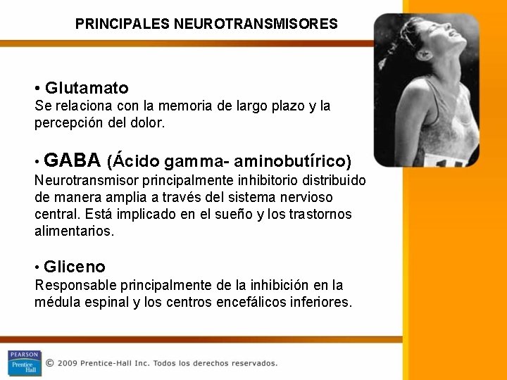 PRINCIPALES NEUROTRANSMISORES • Glutamato Se relaciona con la memoria de largo plazo y la