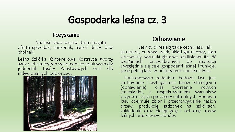 Gospodarka leśna cz. 3 Pozyskanie Nadleśnictwo posiada dużą i bogatą ofertą sprzedaży sadzonek, nasion