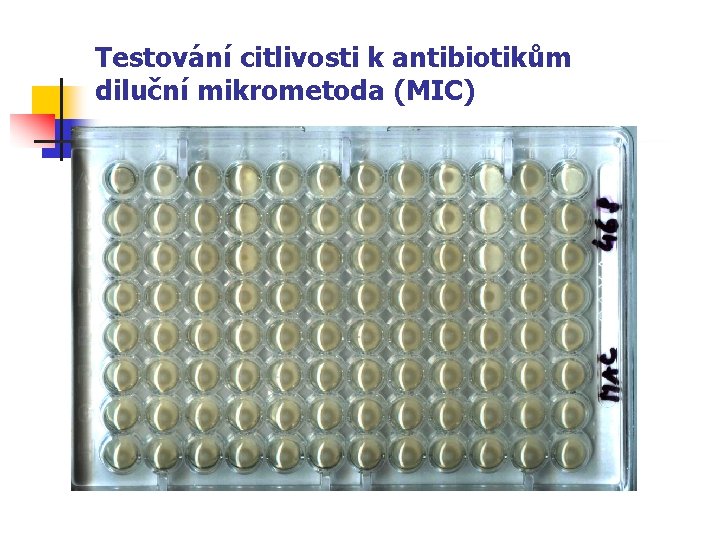 Testování citlivosti k antibiotikům diluční mikrometoda (MIC) 