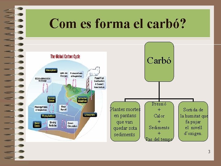 Com es forma el carbó? Carbó Plantes mortes en pantans que van quedar sota