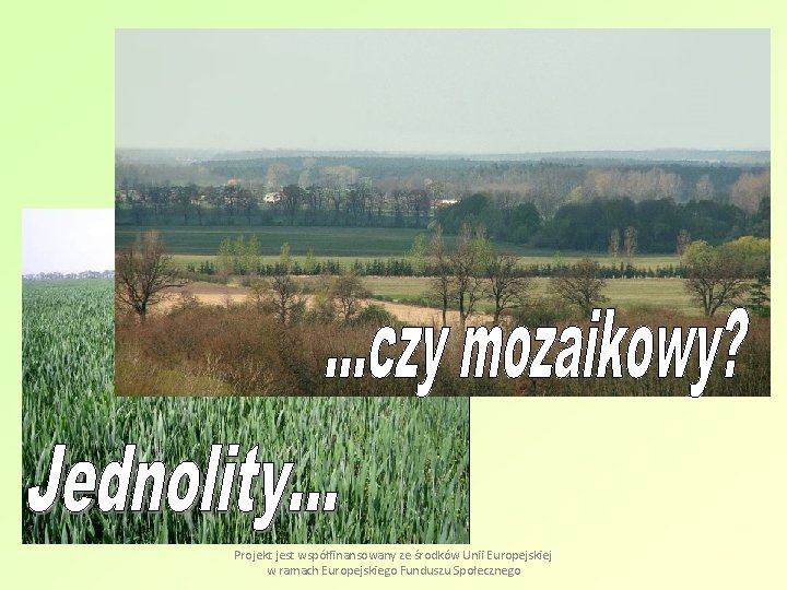 Projekt jest współfinansowany ze środków Unii Europejskiej w ramach Europejskiego Funduszu Społecznego 