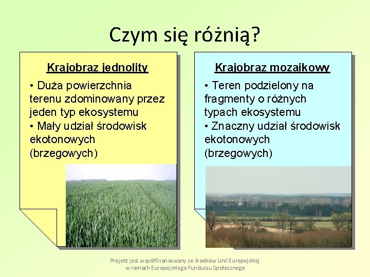 Czym się różnią? Krajobraz jednolity Krajobraz mozaikowy • Duża powierzchnia terenu zdominowany przez jeden