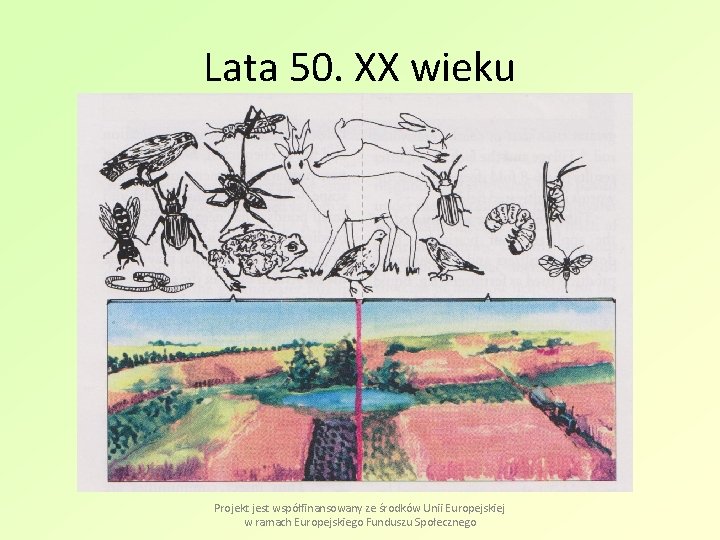 Lata 50. XX wieku Projekt jest współfinansowany ze środków Unii Europejskiej w ramach Europejskiego