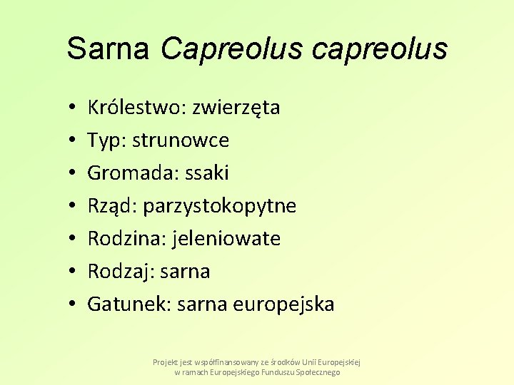 Sarna Capreolus capreolus • • Królestwo: zwierzęta Typ: strunowce Gromada: ssaki Rząd: parzystokopytne Rodzina: