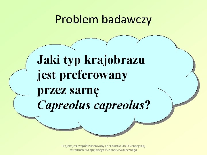 Problem badawczy Jaki typ krajobrazu jest preferowany przez sarnę Capreolus capreolus? Projekt jest współfinansowany