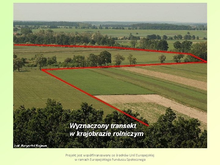 Projekt jest współfinansowany ze środków Unii Europejskiej w ramach Europejskiego Funduszu Społecznego 