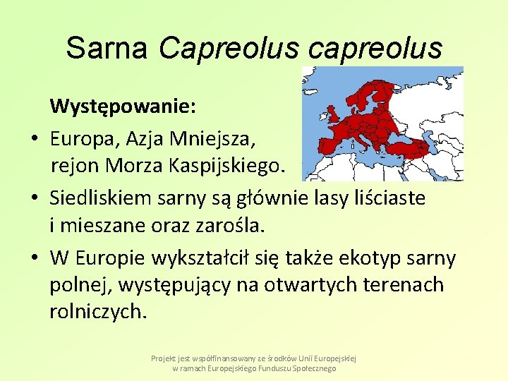 Sarna Capreolus capreolus Występowanie: • Europa, Azja Mniejsza, rejon Morza Kaspijskiego. • Siedliskiem sarny