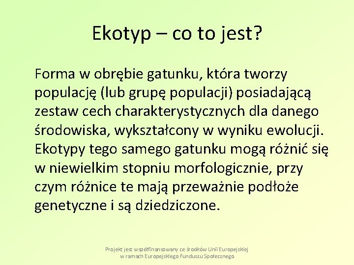 Ekotyp – co to jest? Forma w obrębie gatunku, która tworzy populację (lub grupę