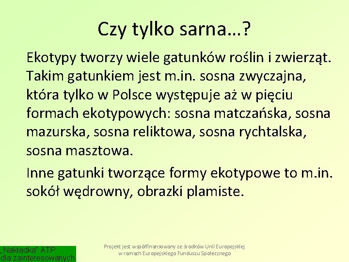 Czy tylko sarna…? Ekotypy tworzy wiele gatunków roślin i zwierząt. Takim gatunkiem jest m.