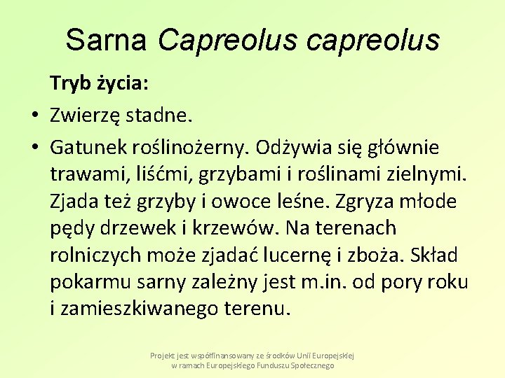 Sarna Capreolus capreolus Tryb życia: • Zwierzę stadne. • Gatunek roślinożerny. Odżywia się głównie