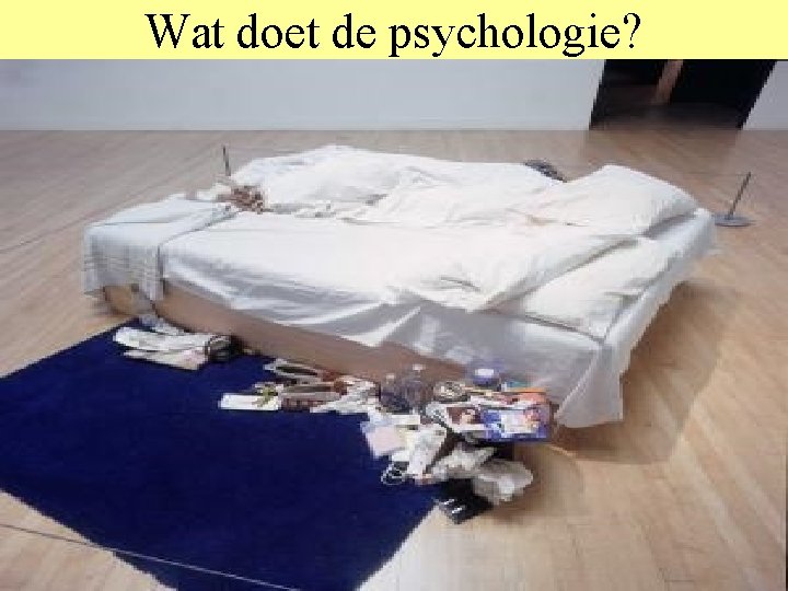 Wat doet de psychologie? • Waar duisternis was, zal helderheid komen • Daartoe moet