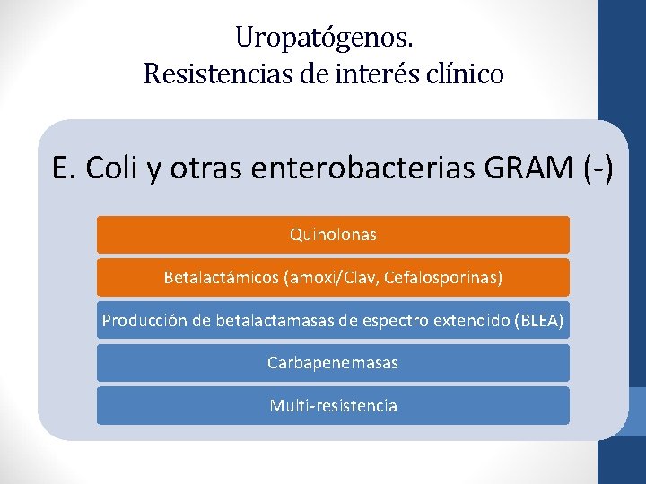 Uropatógenos. Resistencias de interés clínico E. Coli y otras enterobacterias GRAM (-) Quinolonas Betalactámicos