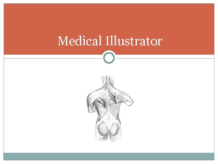 Medical Illustrator 