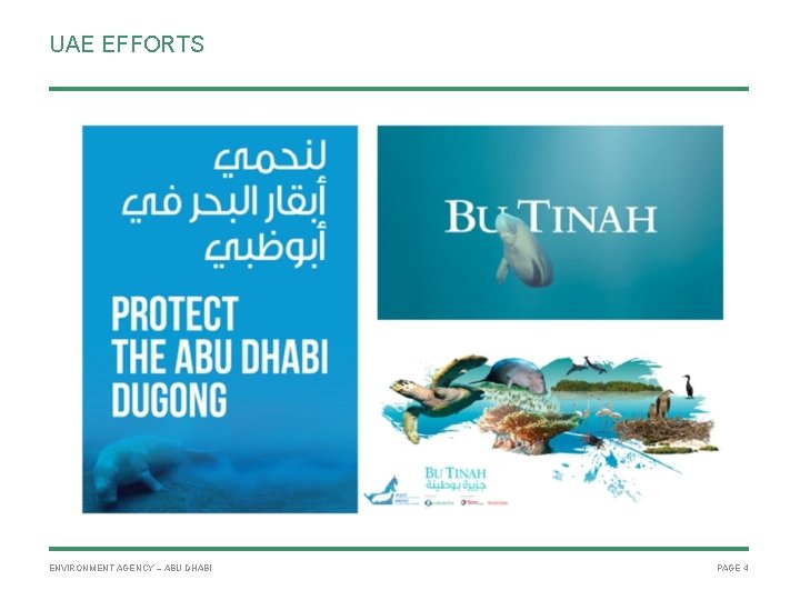 UAE EFFORTS ENVIRONMENT AGENCY – ABU DHABI PAGE 4 
