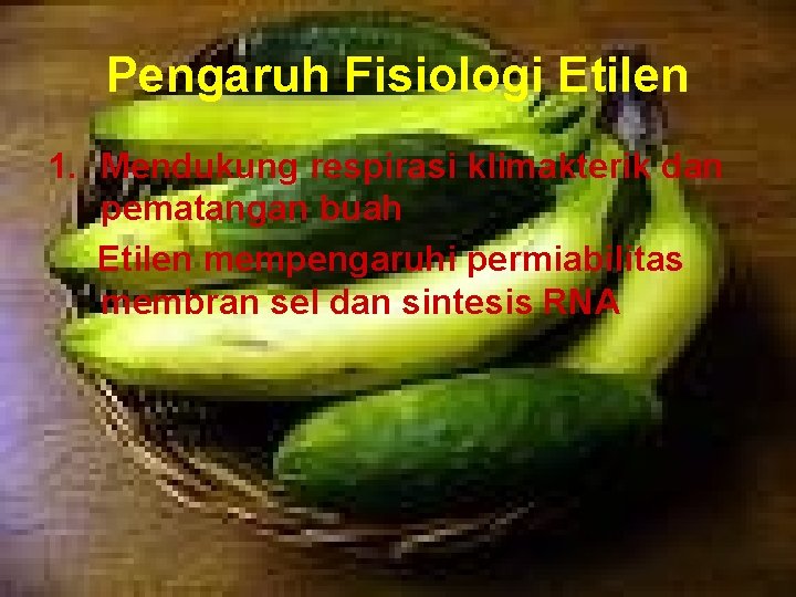 Pengaruh Fisiologi Etilen 1. Mendukung respirasi klimakterik dan pematangan buah Etilen mempengaruhi permiabilitas membran