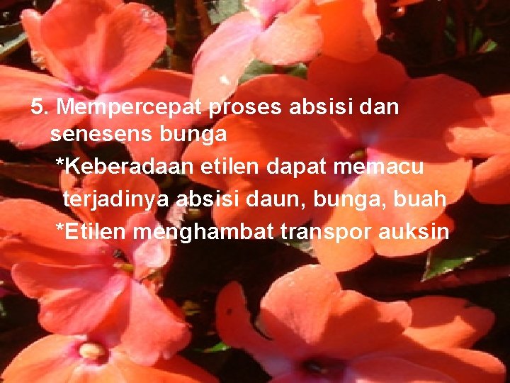 5. Mempercepat proses absisi dan senesens bunga *Keberadaan etilen dapat memacu terjadinya absisi daun,