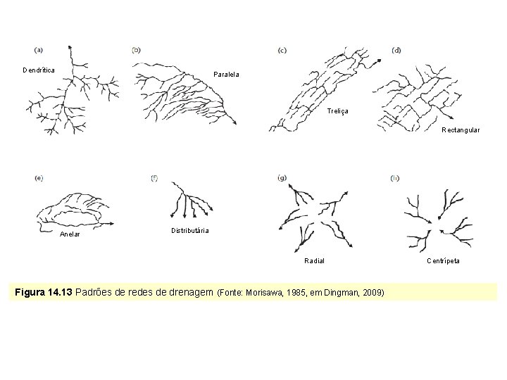 Dendrítica Paralela Treliça Rectangular Anelar Distributária Radial Figura 14. 13 Padrões de redes de