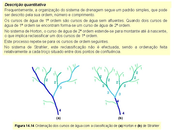 Descrição quantitativa Frequentemente, a organização do sistema de drenagem segue um padrão simples, que