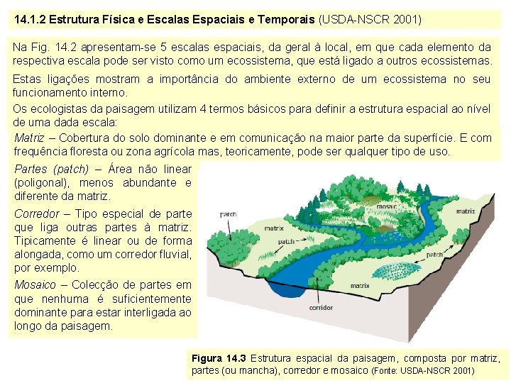 14. 1. 2 Estrutura Física e Escalas Espaciais e Temporais (USDA-NSCR 2001) Na Fig.