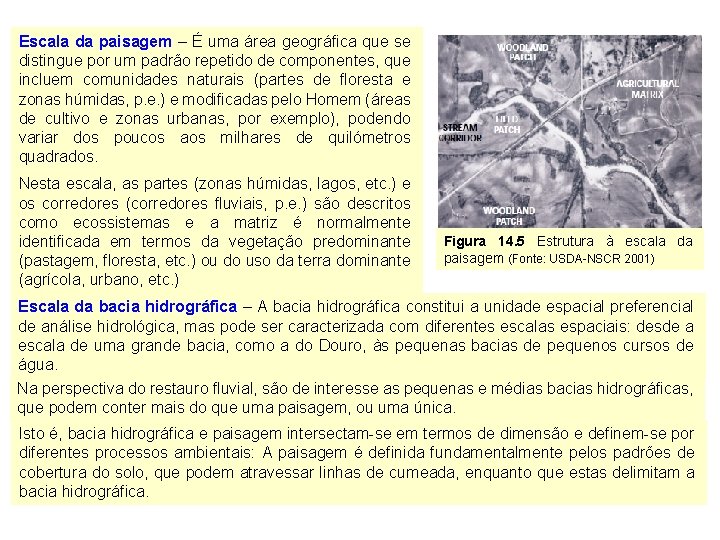 Escala da paisagem – É uma área geográfica que se distingue por um padrão