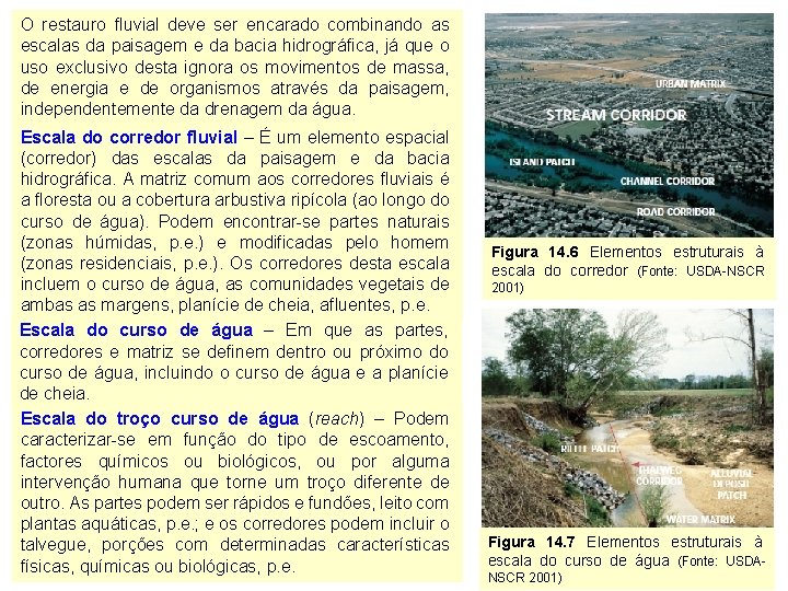 O restauro fluvial deve ser encarado combinando as escalas da paisagem e da bacia