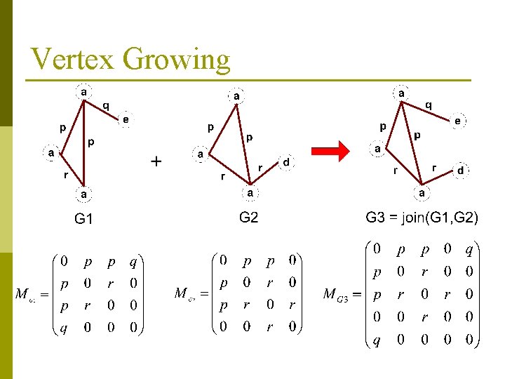 Vertex Growing 