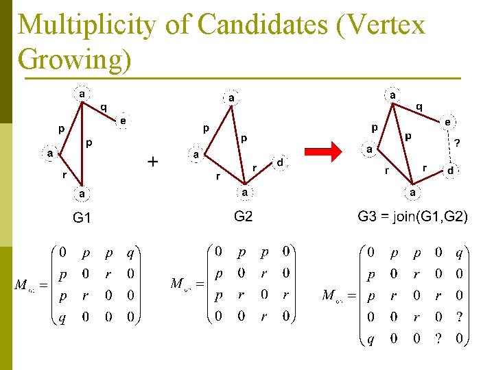 Multiplicity of Candidates (Vertex Growing) 