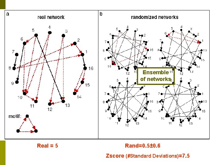 Ensemble of networks Real = 5 Rand=0. 5± 0. 6 Zscore (#Standard Deviations)=7. 5