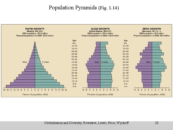 Population Pyramids (Fig. 1. 14) Population Pyramids Globalization and Diversity; Rowntree, Lewis, Price, Wyckoff