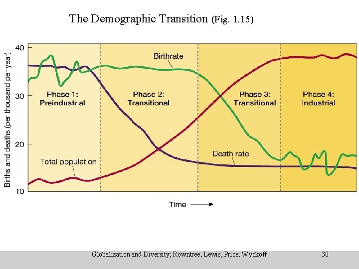 The Demographic Transition (Fig. 1. 15) Demographic Transition Model Globalization and Diversity; Rowntree, Lewis,