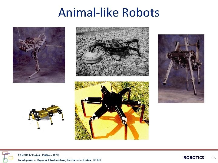 Animal-like Robots TEMPUS IV Project: 158644 – JPCR Development of Regional Interdisciplinary Mechatronic Studies Animal-like Robots TEMPUS IV Project: 158644 – JPCR Development of Regional Interdisciplinary Mechatronic Studies