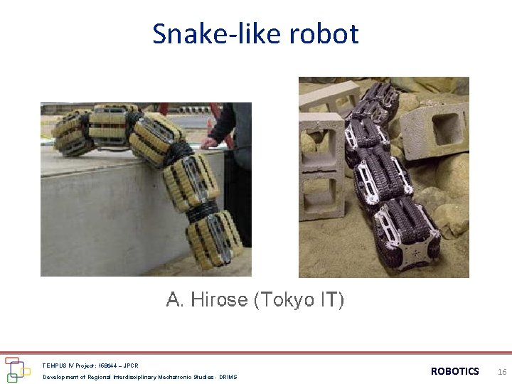 Snake-like robot TEMPUS IV Project: 158644 – JPCR Development of Regional Interdisciplinary Mechatronic Studies Snake-like robot TEMPUS IV Project: 158644 – JPCR Development of Regional Interdisciplinary Mechatronic Studies