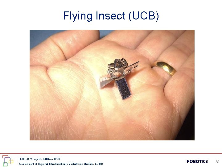Flying Insect (UCB) TEMPUS IV Project: 158644 – JPCR Development of Regional Interdisciplinary Mechatronic Flying Insect (UCB) TEMPUS IV Project: 158644 – JPCR Development of Regional Interdisciplinary Mechatronic