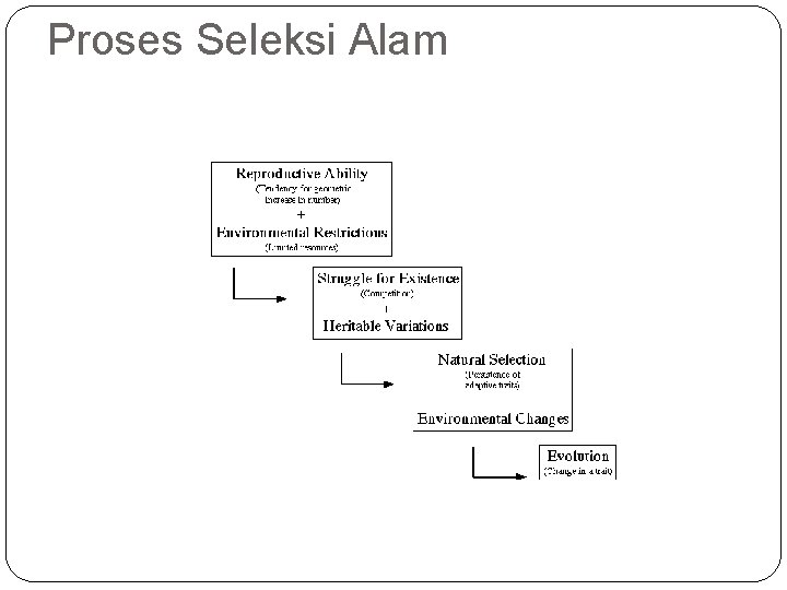 Proses Seleksi Alam 