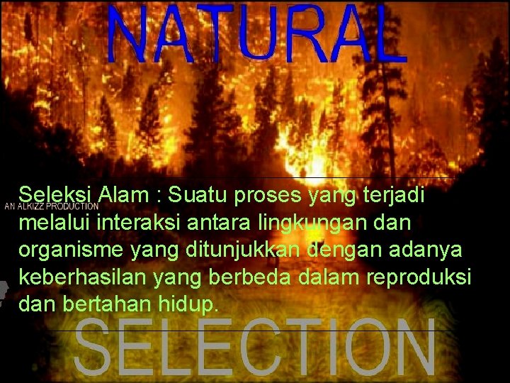 Title Seleksi Alam : Suatu proses yang terjadi melalui interaksi antara lingkungan dan Date