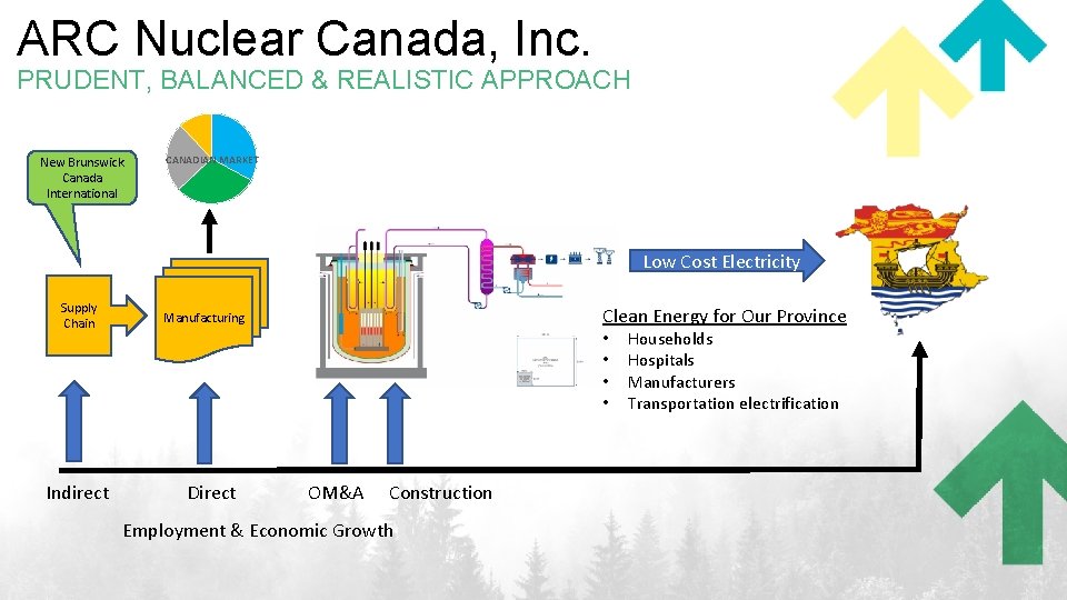 ARC Nuclear Canada, Inc. PRUDENT, BALANCED & REALISTIC APPROACH New Brunswick Canada International CANADIAN