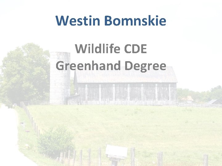 Westin Bomnskie Wildlife CDE Greenhand Degree 