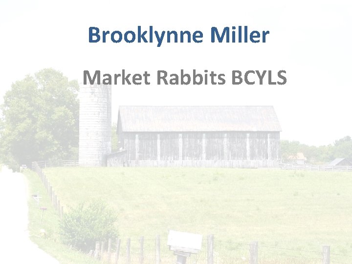 Brooklynne Miller Market Rabbits BCYLS 
