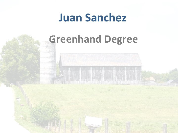 Juan Sanchez Greenhand Degree 