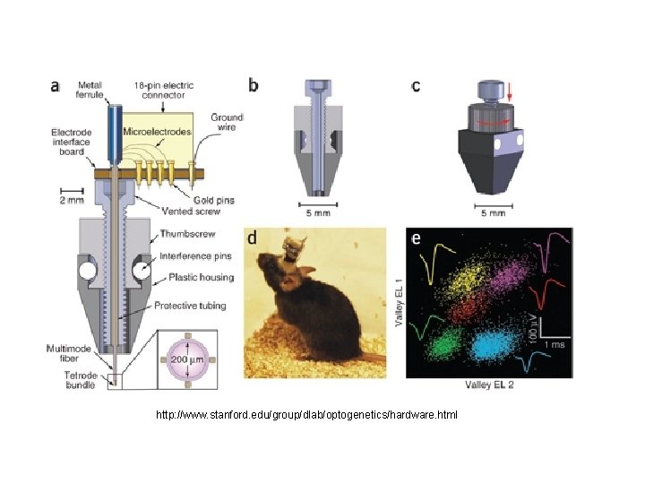 http: //www. stanford. edu/group/dlab/optogenetics/hardware. html 