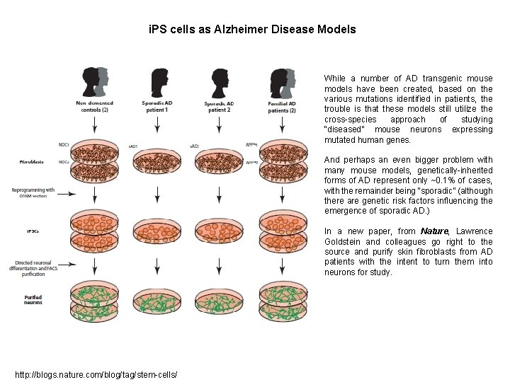 i. PS cells as Alzheimer Disease Models While a number of AD transgenic mouse