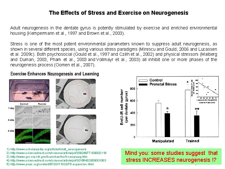 The Effects of Stress and Exercise on Neurogenesis Adult neurogenesis in the dentate gyrus